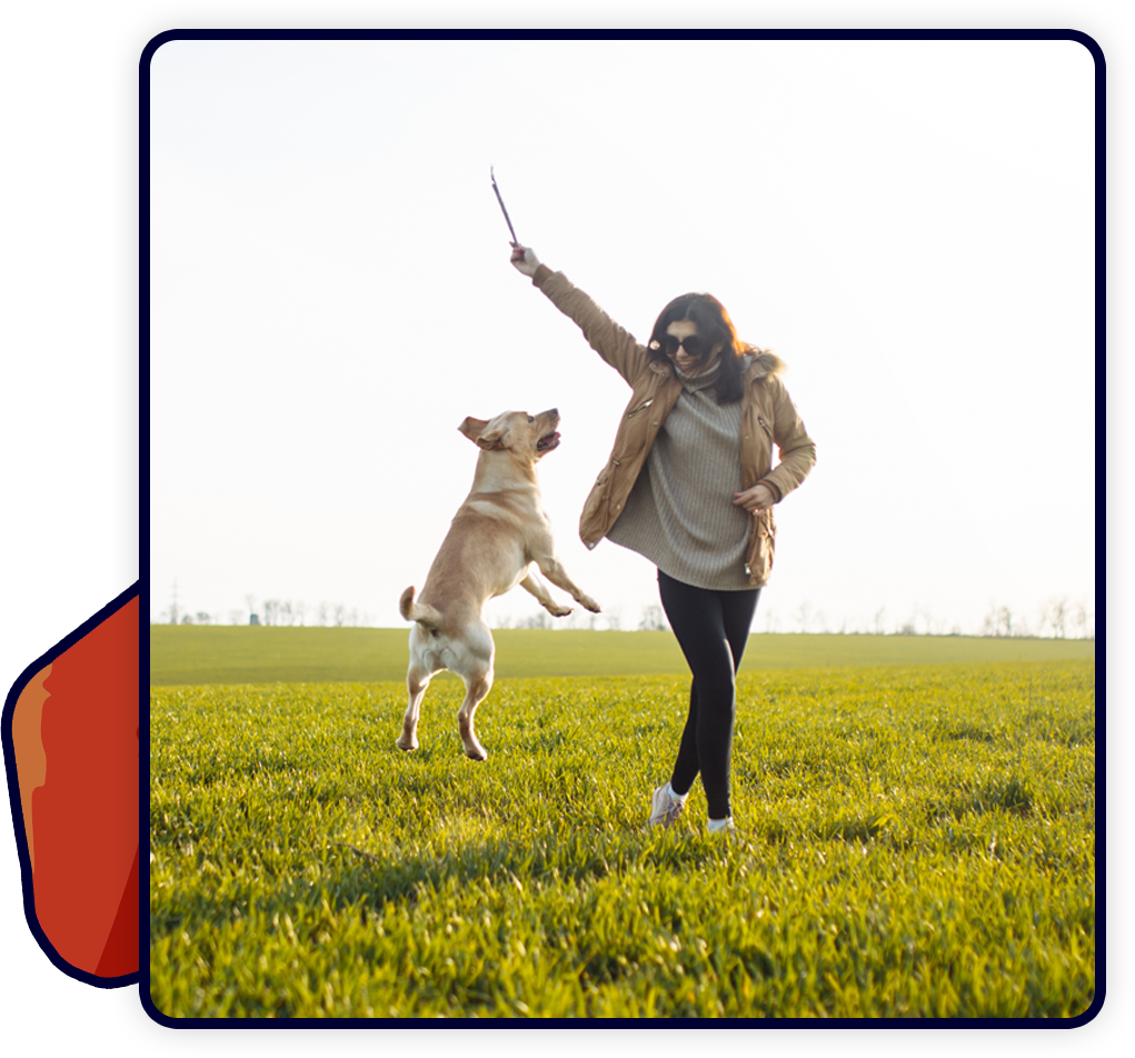 A veterinarian in a jacket and sunglasses plays with a jumping dog in a grassy field. Holding a stick high, the vet prompts the dog to leap. It's a sunny day, and the surroundings are open and serene.