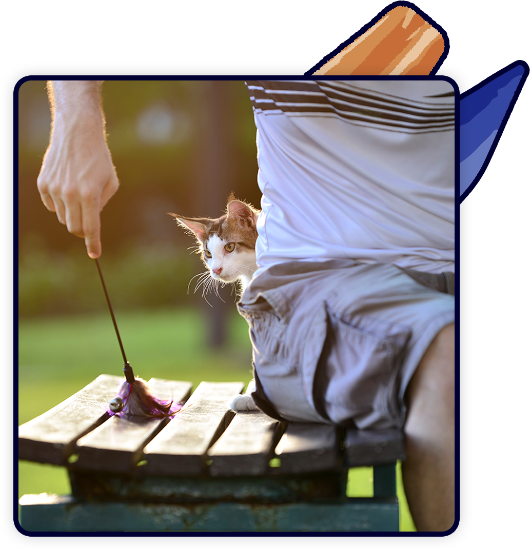 A cat playfully peeks out from a hole in a veterinarian's shorts as they sit on a bench. The vet is holding a toy on a stick, engaging the curious feline in play. The background is a blurred outdoor setting with lush greenery.