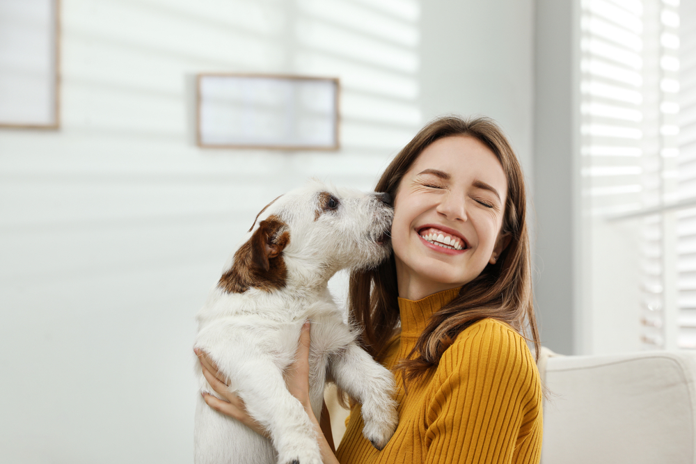 A woman in a yellow sweater smiles joyfully as she holds a small dog that licks her face. Bright natural light streams through window blinds, creating a warm and cheerful atmosphere reminiscent of a cozy vet clinic waiting room.