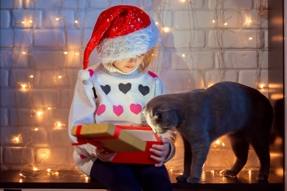 A child in a festive red Santa hat examines a gift box while a curious gray cat, having passed its veterinarian's check-up, sniffs it. They are illuminated by a warm string of fairy lights against a white brick wall backdrop.