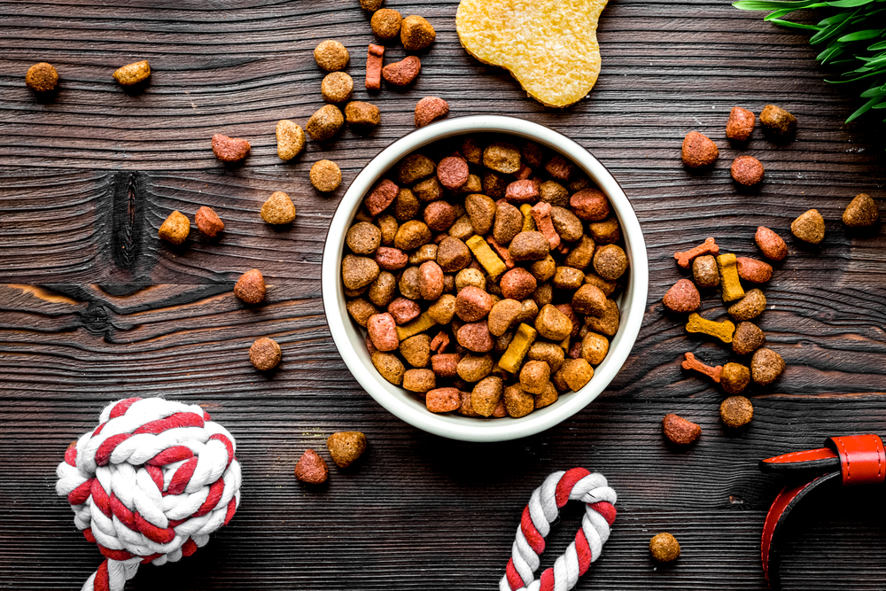 A bowl filled with colorful dry dog food sits on a wooden table. Surrounding it are vet-approved dog treats, a knotted rope toy, a red and white tug toy, and a plant in the corner.