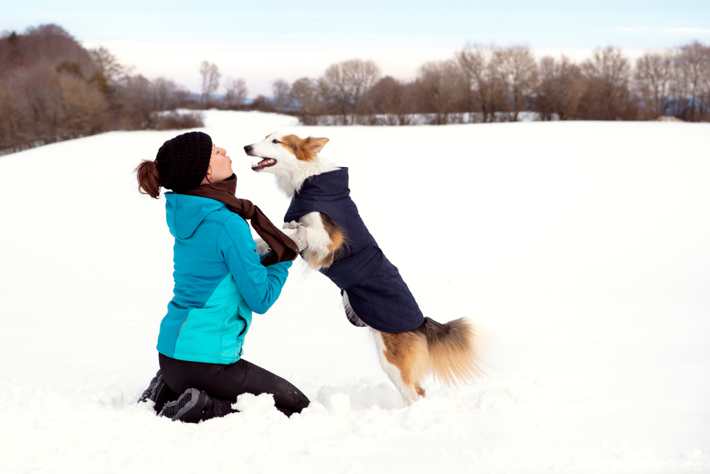 A woman kneels in the snow, smiling at a standing dog wearing a blue coat. As a veterinarian, she knows the importance of keeping pets warm. They enjoy their time in the snowy field with trees silhouetted against the clear sky.