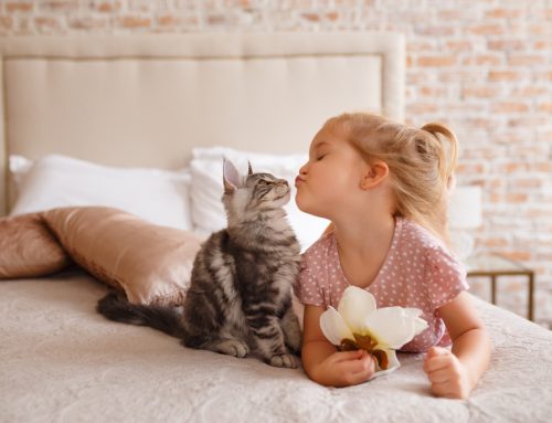 Tips for Keeping Your Kids Safe Around Pets