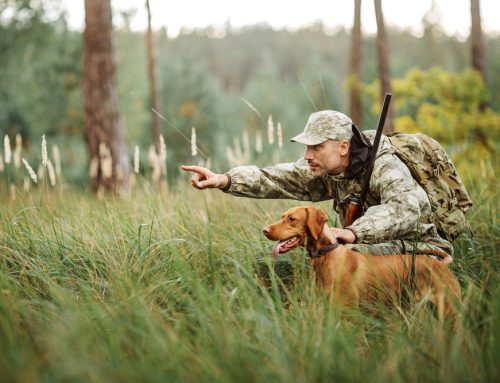 Hunting Season Pet Safety Hazards