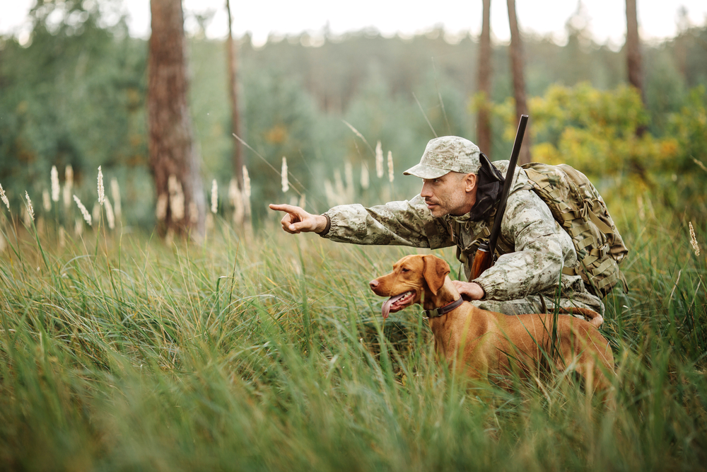 A hunter in camouflage, carrying a backpack and rifle, crouches in tall grass while pointing ahead. Beside him, a brown hunting dog is alert and attentive, thanks to regular check-ups with the veterinarian. The forest background creates a serene, natural setting.