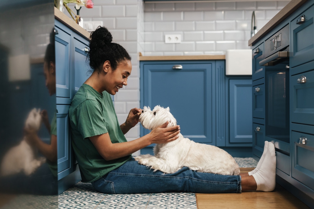 A person sits on a kitchen floor, smiling and playing with a small white dog. The kitchen has blue cabinets and a tiled backsplash. The person wears a green t-shirt and jeans, and the dog looks up affectionately.